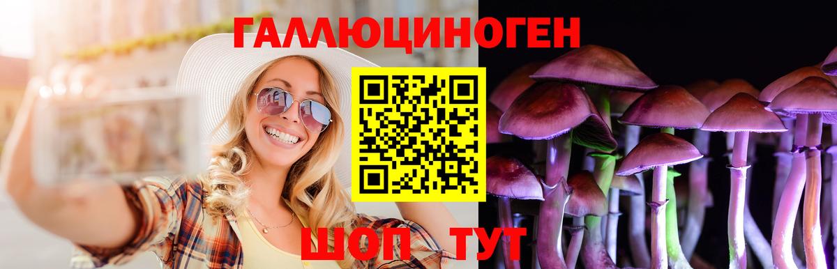 Галлюциногенные грибы Psilocybine cubensis  Вход с VPN  Галлюциногенные грибы ЛСД  Джанкой 